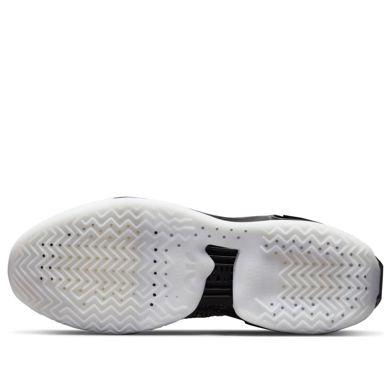 Nike Air Zoom GT Jump EP 'Own Space' DC9039-001