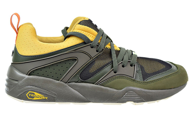 PUMA Blaze Of Glory Green Low Tops Sports Shoe 361408-03