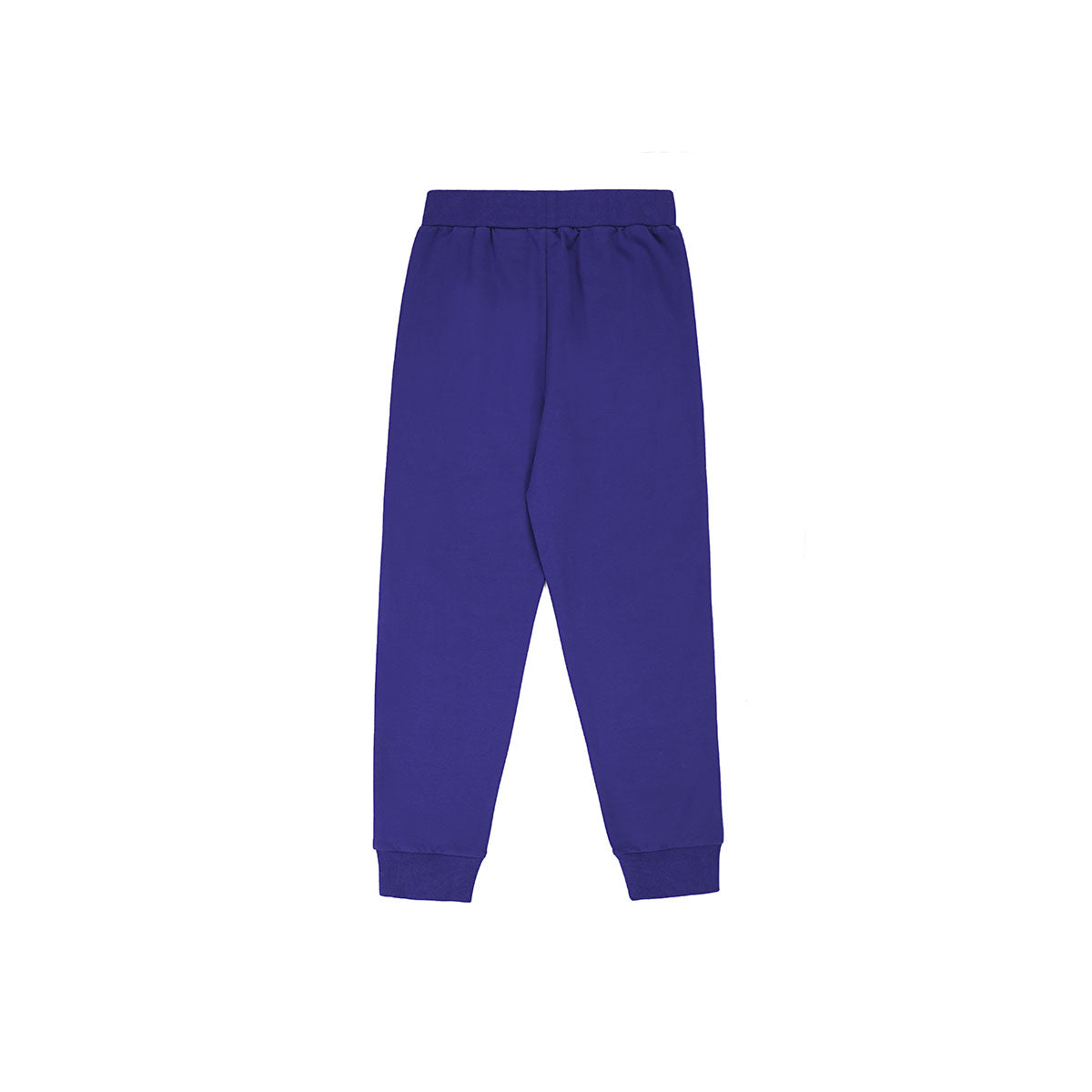 (GS) Mizuno Sportswear Pants 'Blue' 32CF3911