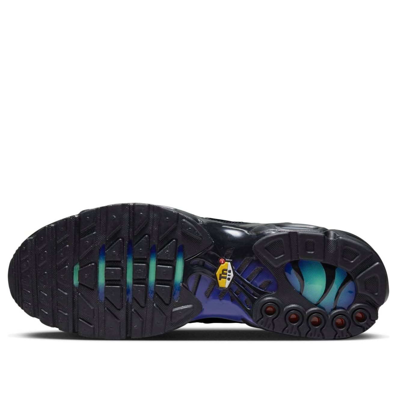 Nike Air Max Plus 'Unity' DZ4509-001