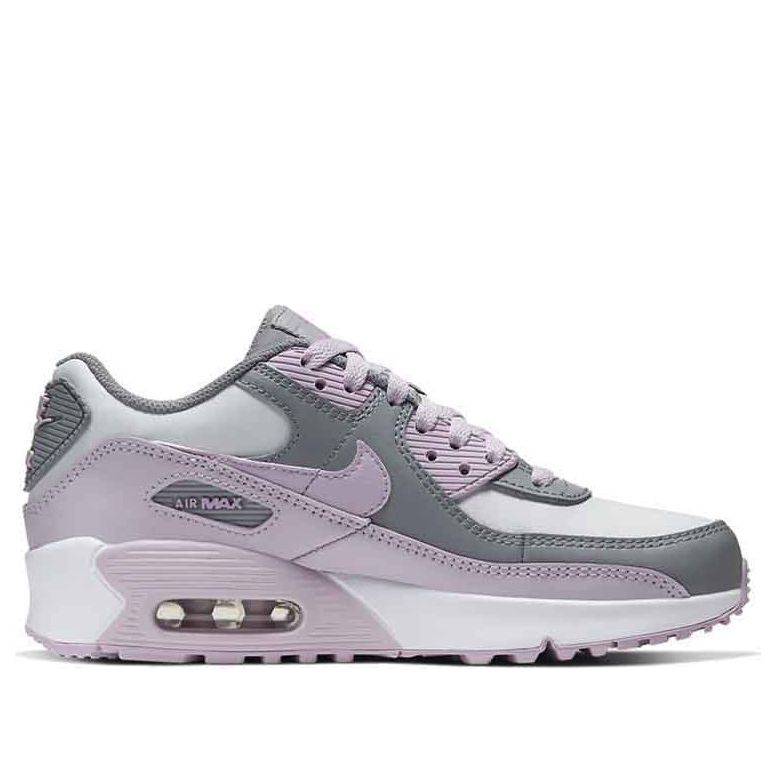 (GS) Nike Air Max 90 Leather 'Iced Lilac' CD6864-002