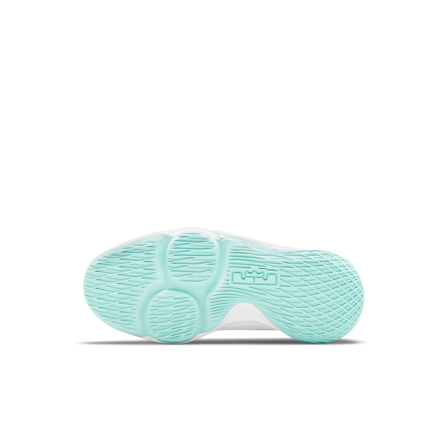 (PS) Nike LeBron Witness 5 'Pure Platinum Light Dew' CT4630-006