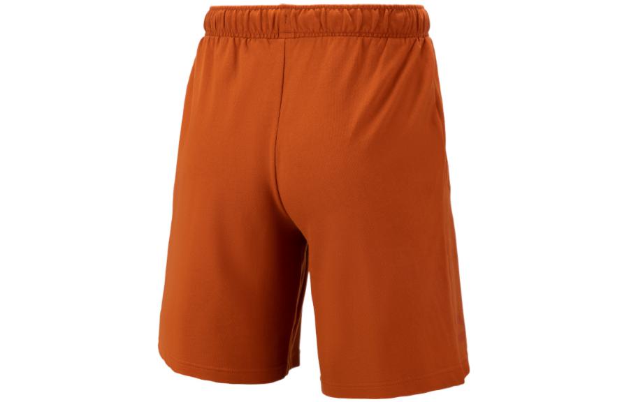 PUMA Logo Nature Shorts 'Brown' 538777-64