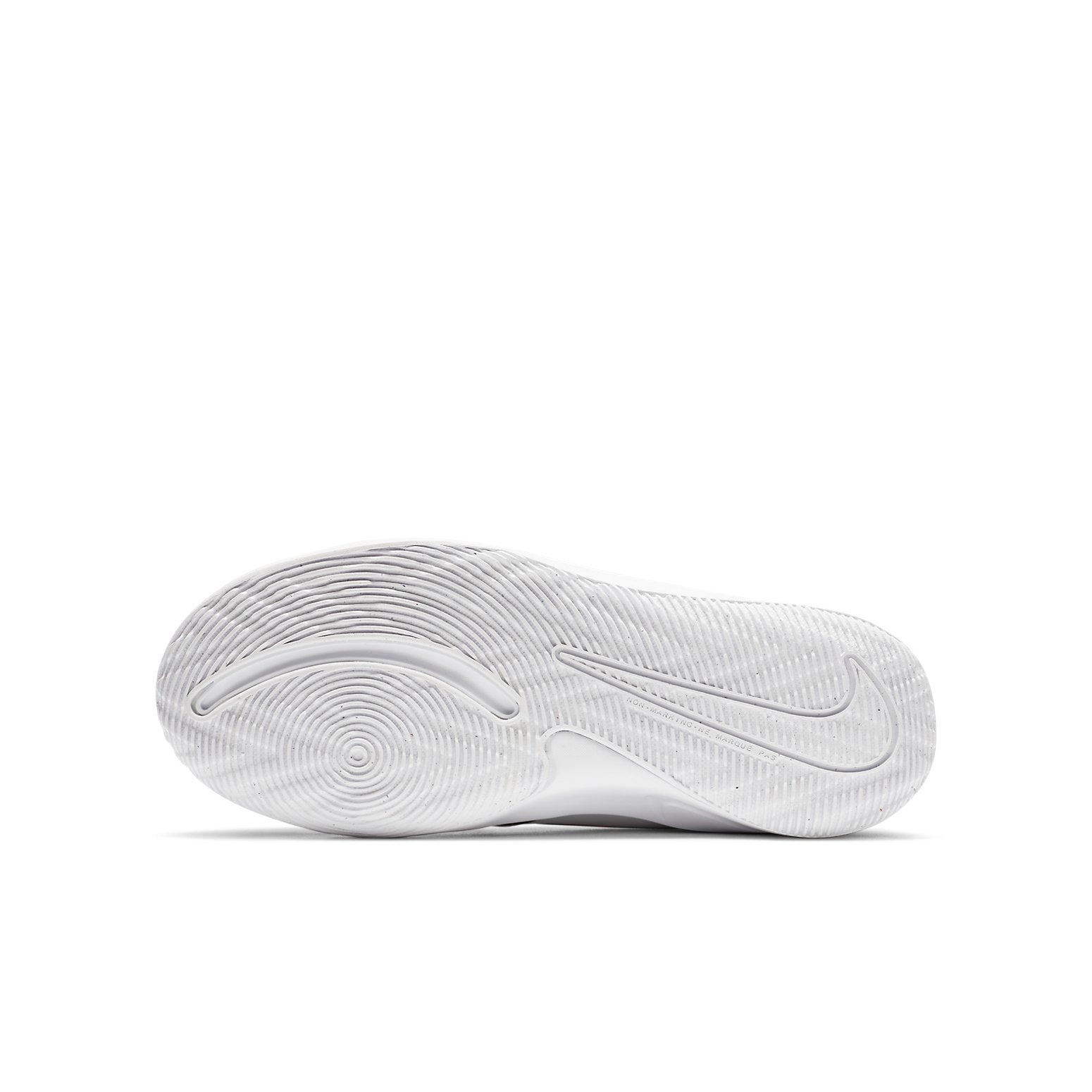(GS) Nike Team Hustle D9 'Light' CV8970-001