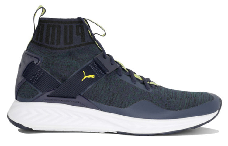 PUMA Ignite EvoKNIT Shoes Blue 189697-19