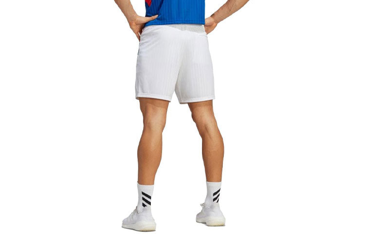 adidas Italy Icon Shorts HT2183