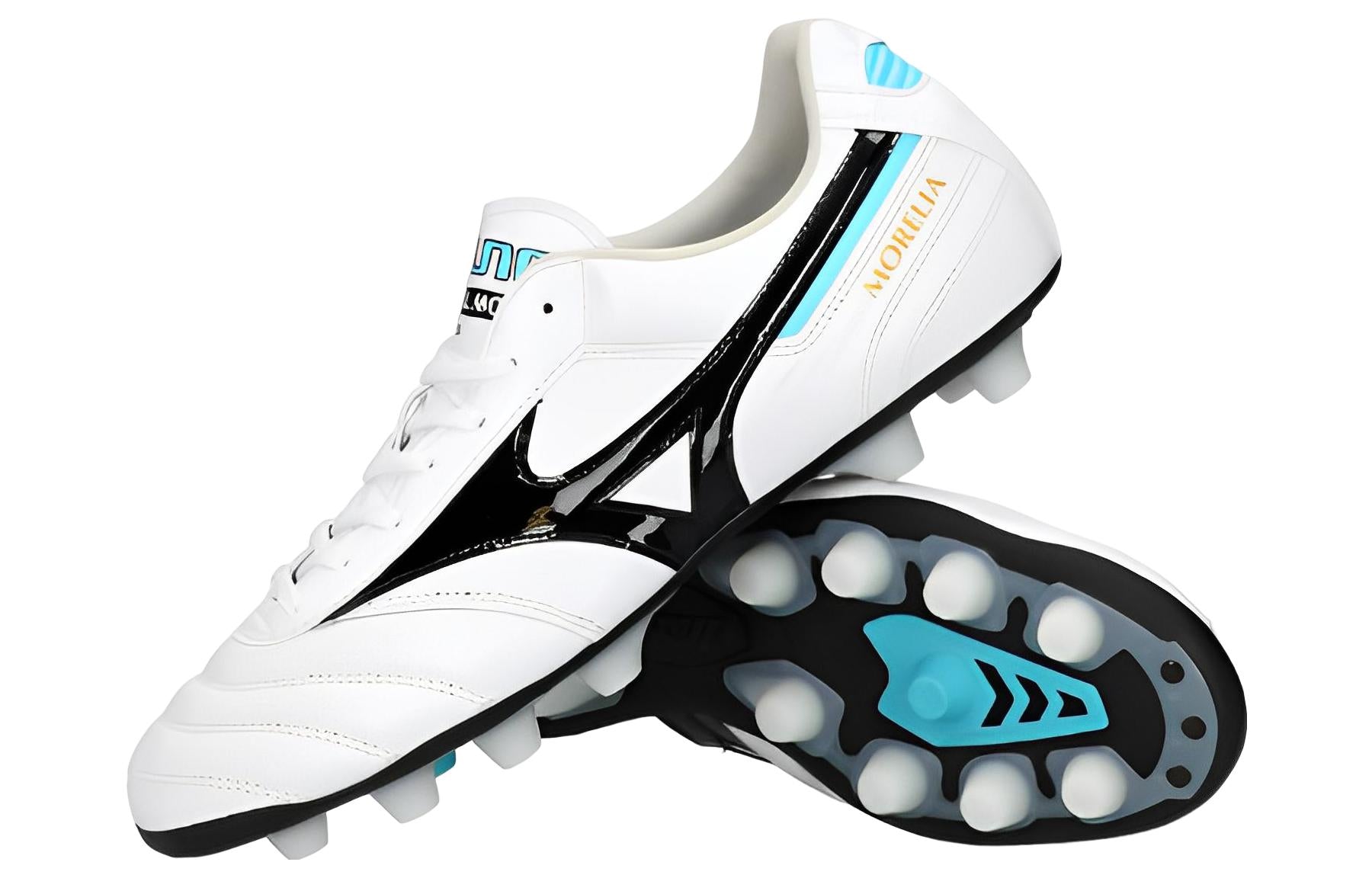 Mizuno Morelia 2 Elite P1GA221209