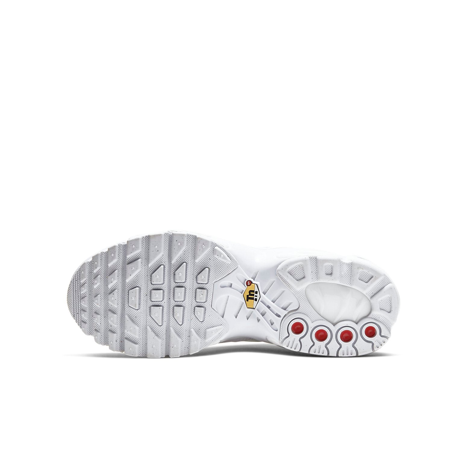 (GS) Nike Air Max Plus 'White Metallic Silver' CW7044-100