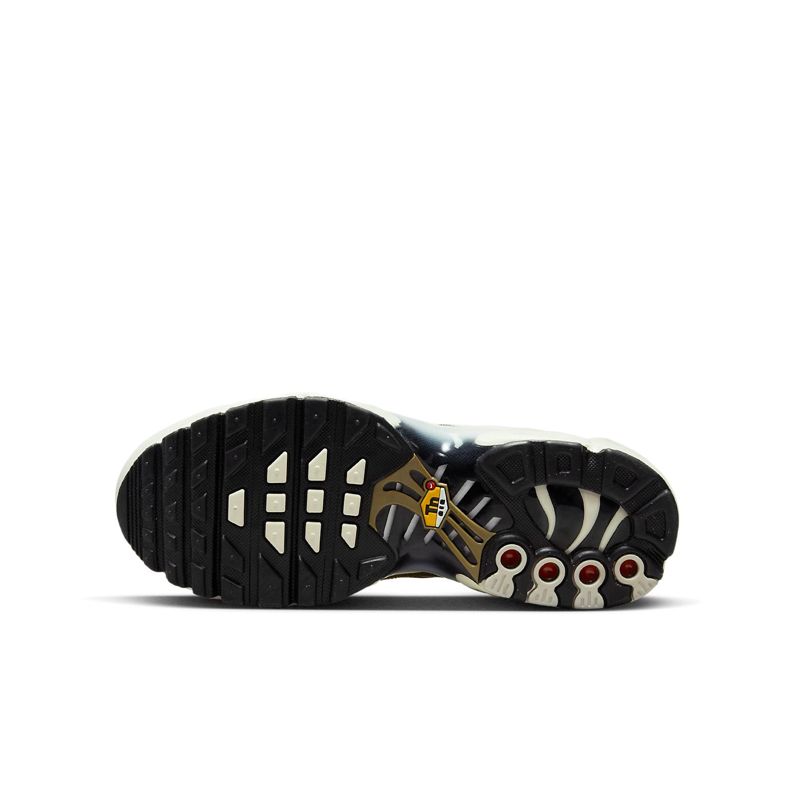 (GS) Nike Air Max Plus 'Leopard' DX9283-100