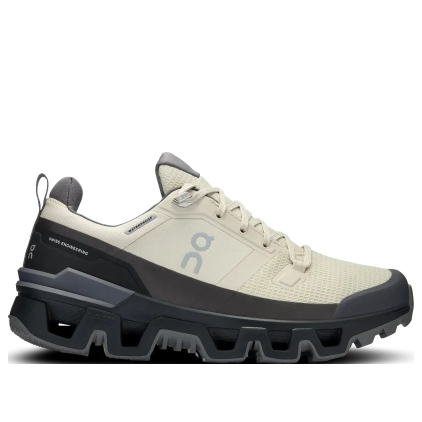 (WMNS) On Running Cloudwander Waterproof 'Sand Black' 73.97667