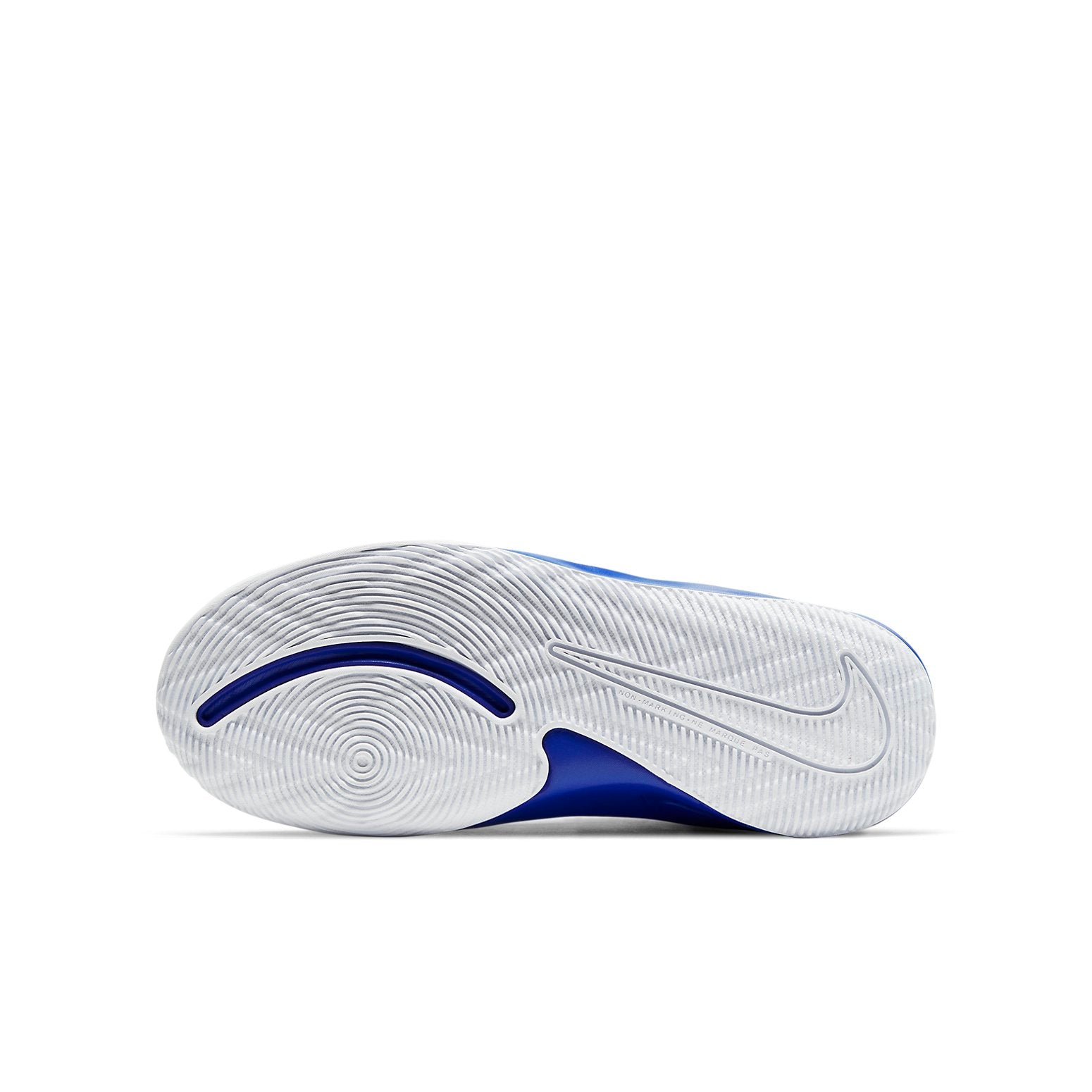 (GS) Nike Team Hustle D9 'White Game Royal' AQ4224-405