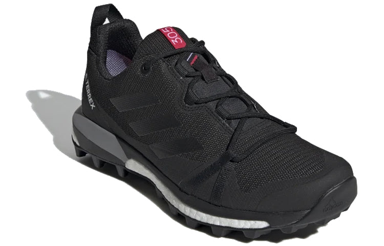 (WMNS) adidas Terrex Skychaser LT GTX 'Carbon' F36119