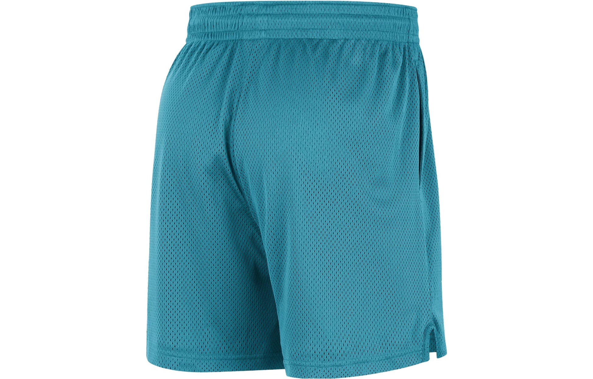 Air Jordan x NBA Charlotte Hornets Logo Short 'Green' FB3734-415