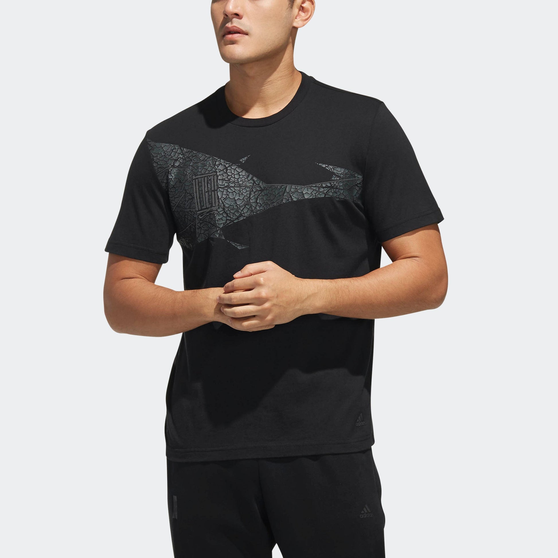 adidas Printing Round Neck Pullover Short Sleeve Black DW4682
