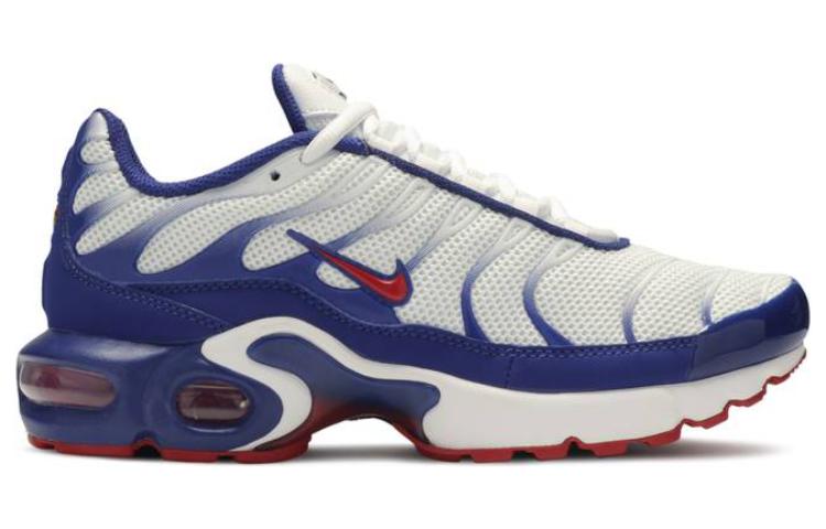 (GS) Nike Air Max Plus 'USA' CK0003-100