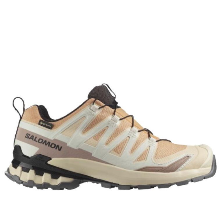 SALOMON XA Pro 3D V9 GTX 'Hazelnut Tender Peach Black' 478176