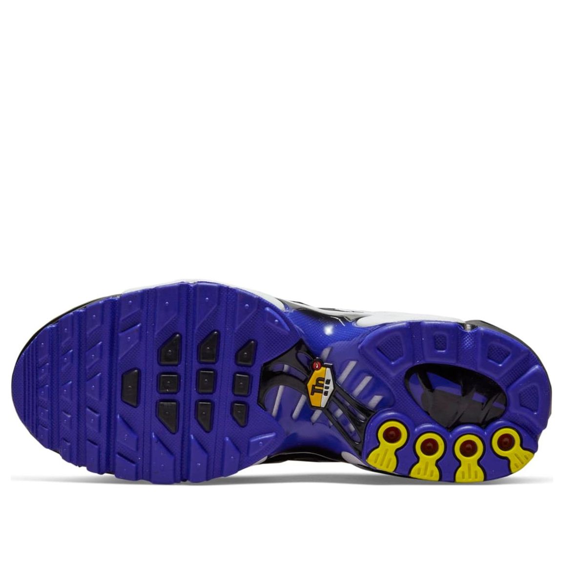 (GS) Nike Air Max Plus 'Persian Violet' CD0609-104