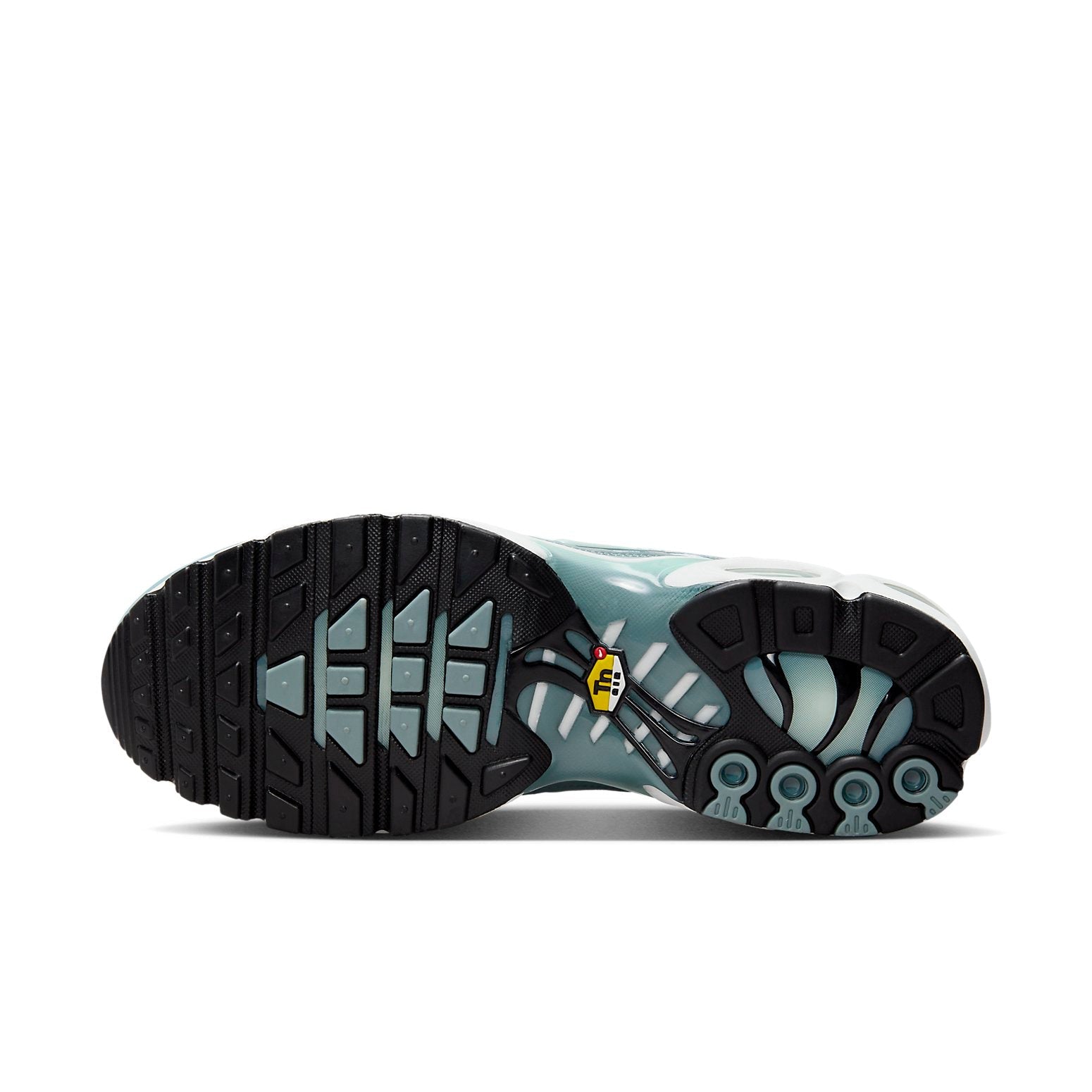 Nike Air Max Plus 'Origins Waterway' FV0394-300