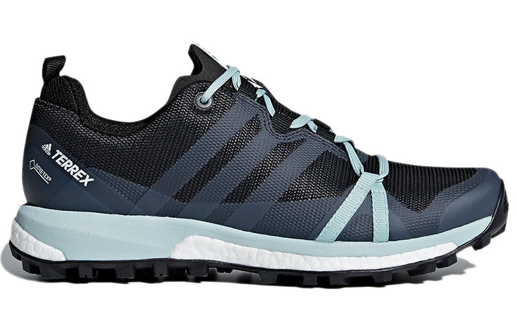(WMNS) adidas Terrex Agravic GTX 'Charcoal Black Grey' CM7648
