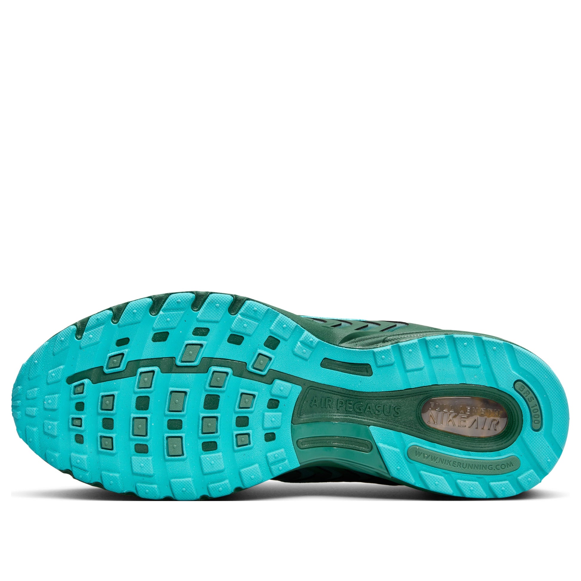 Nike Air Pegasus 2K5 'Fir Bicoastal' FZ7354-300
