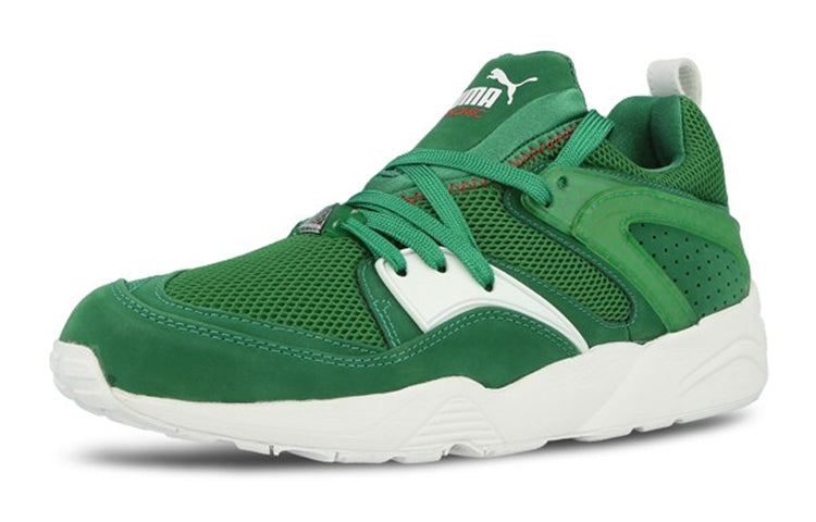 PUMA Green x Trinomic Blaze Of Glory 'Green Box Pack' 358490-01