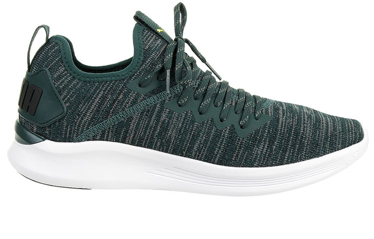 PUMA Ignite Flash Evoknit 'Green Black' 190508-17