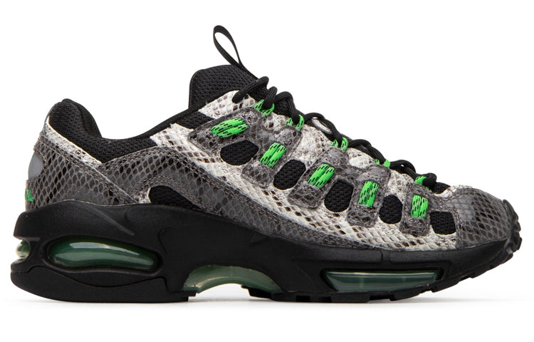 PUMA Cell Endura 'Animal Kingdom' 370926-02