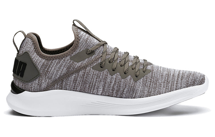 PUMA Ignite Flash EvoKnit 'Steel Gray' 190508-18