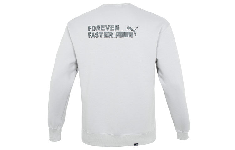 PUMA Small Logo Relaxed Crew Logo Sweater 'Grey' 673605-19