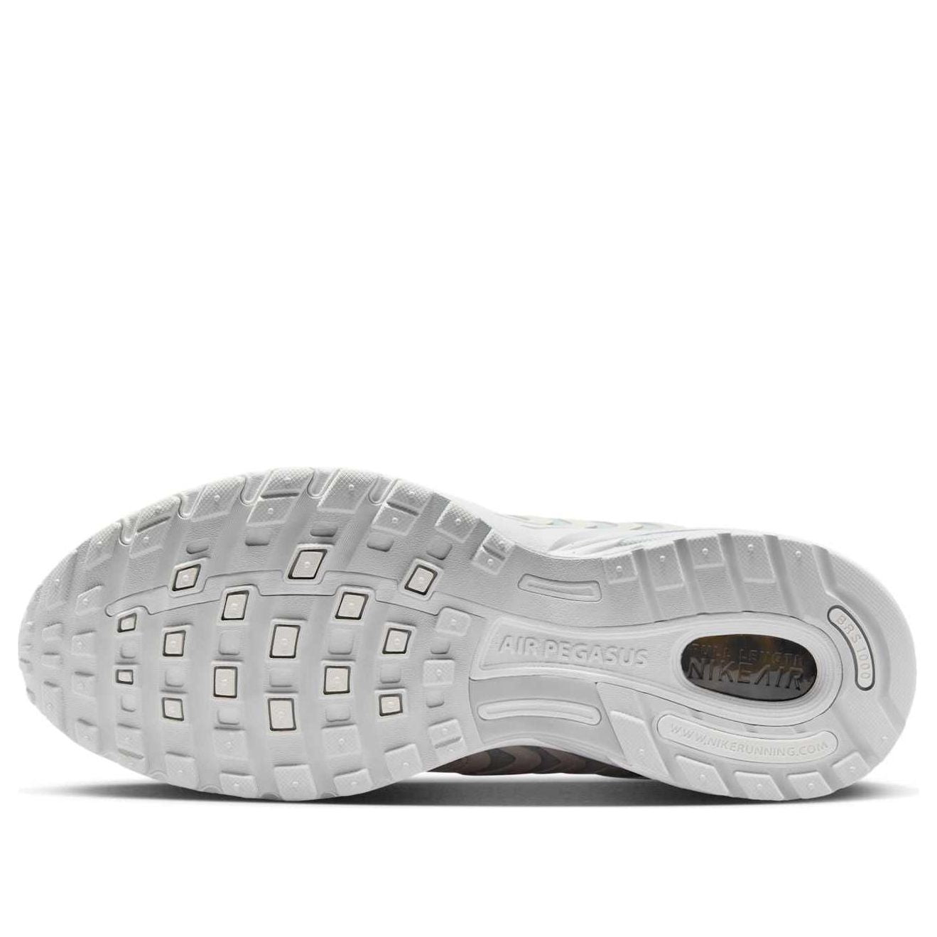 Nike Air Pegasus 2005 SE 'Platinum Tint Metallic' IB2983-001