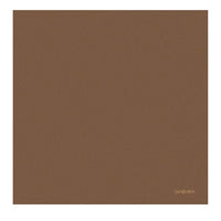 SAINT LAURENT Silk Silk Scarves Men's Brown