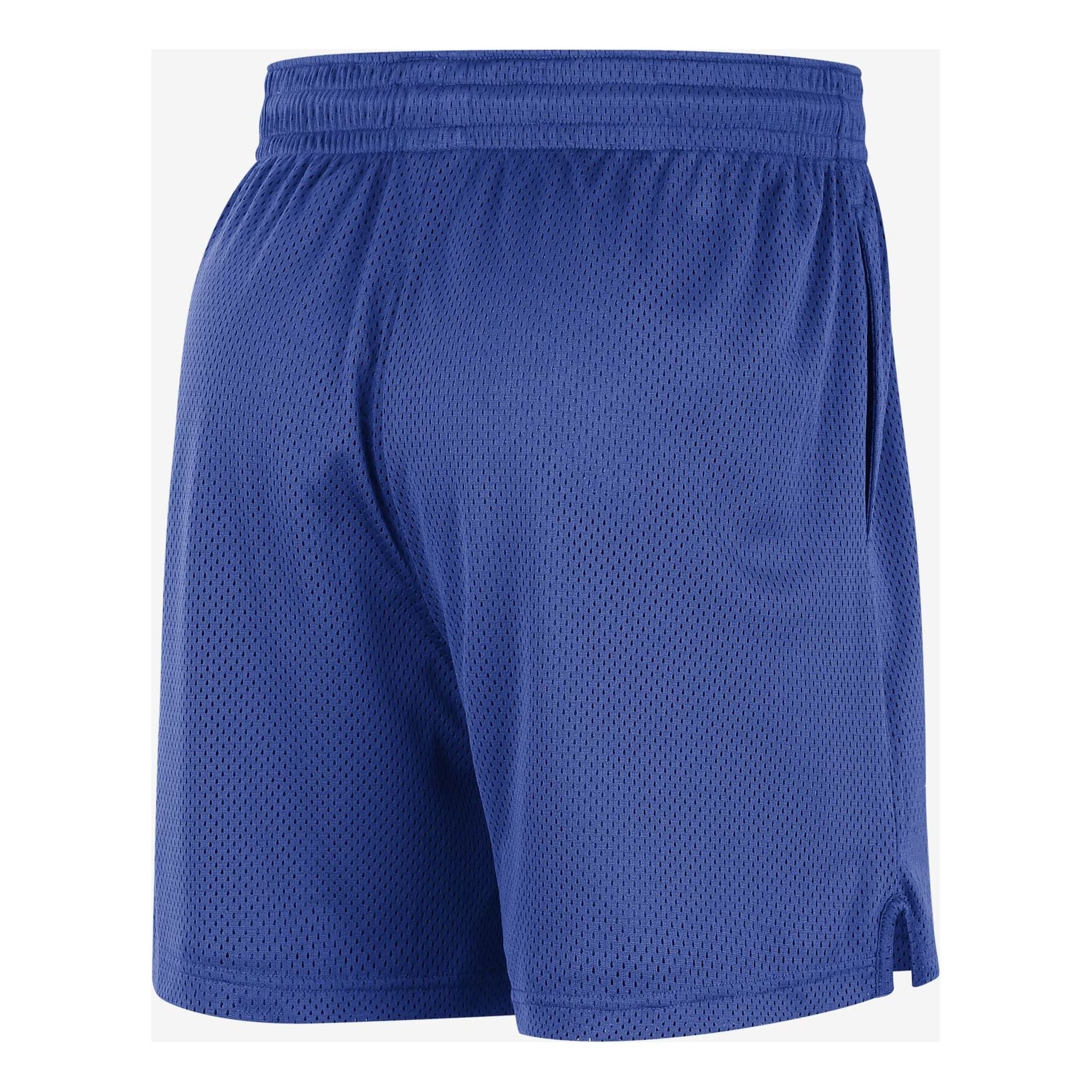 Nike NBA Mesh Shorts 'Dallas Mavericks' DX9704-480