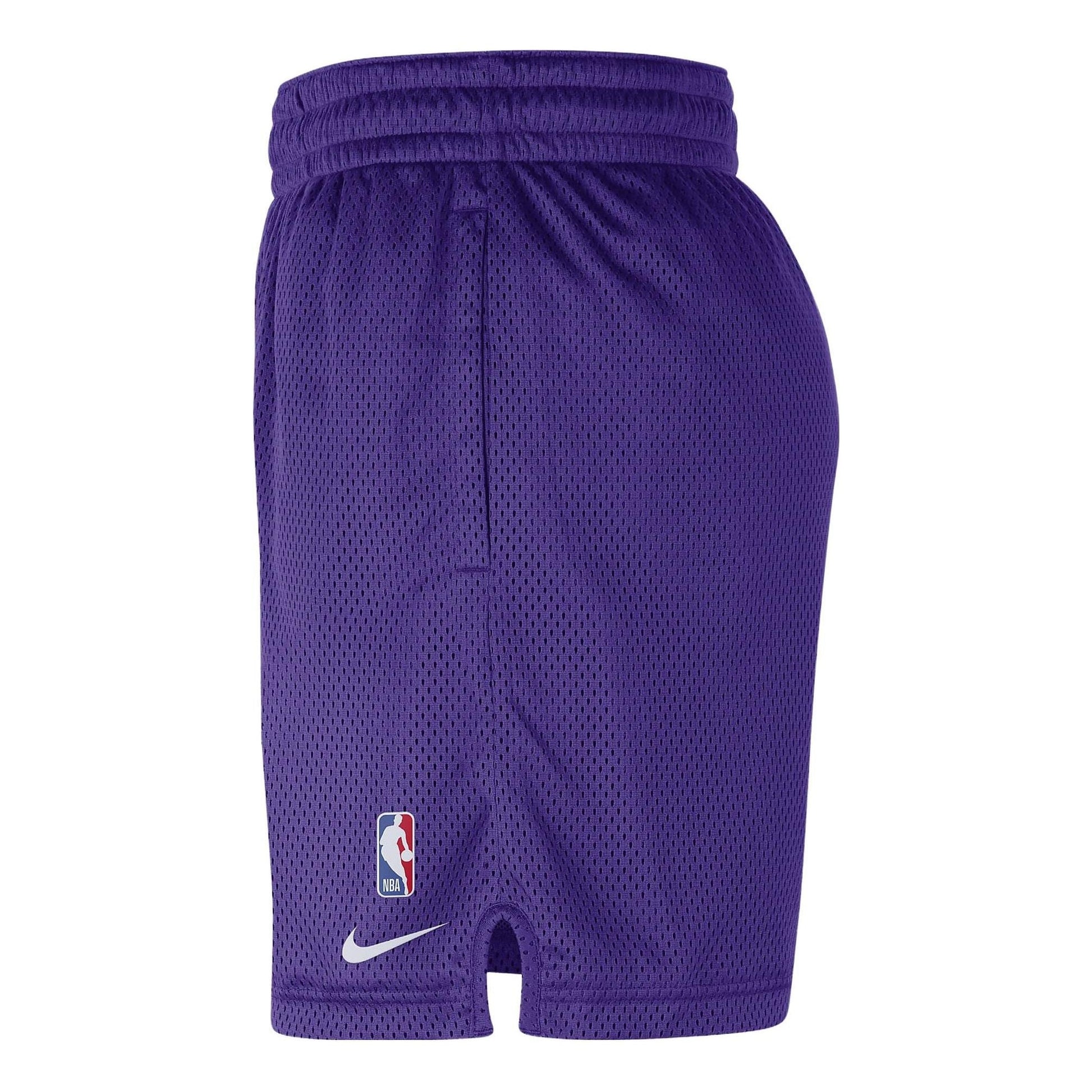 Nike NBA Los Angeles Lakers Shorts 'Purple' DN4629-504
