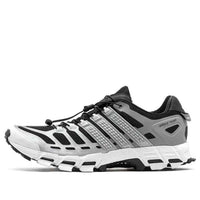 adidas Originals Adistar Raven 'Grey White' ID1039