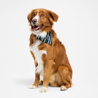 LOUIS VUITTON Pet Clothing