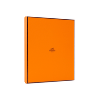 HERMES Silk Scarves Women's Apricot