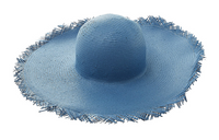 Loro Piana Paper Hats & Caps Women's Blue