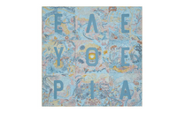 HERMES Silk Scarves Women's Blue