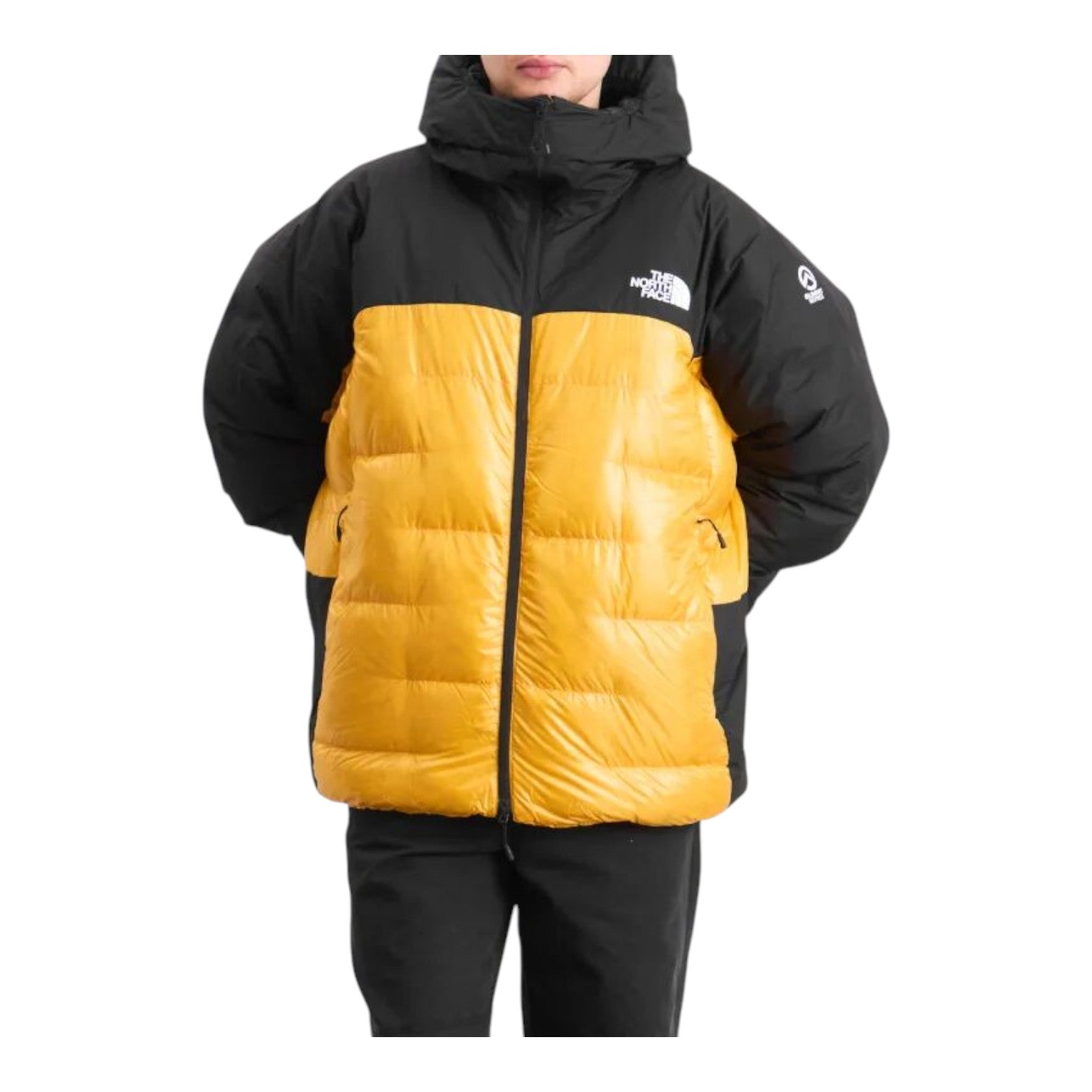 THE NORTH FACE Summit Series Himalayan Down Parka 'Summit Gold Tnf Black' NF0A8C95ZU3