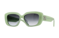 CELINE Acetate Irregular Shape Sunglasses Women's Green