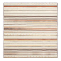CELINE Beijing Square In Striped Silk