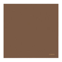 SAINT LAURENT Silk Silk Scarves Men's Brown