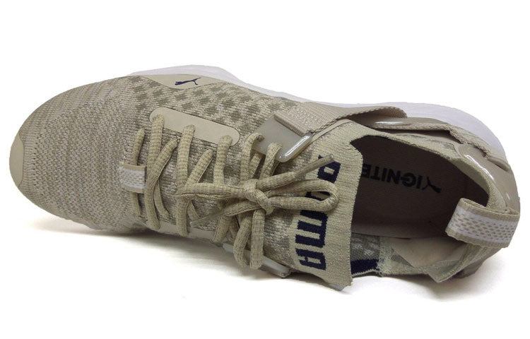 PUMA Ignite EvoKnit Lo Pavement 189926-02