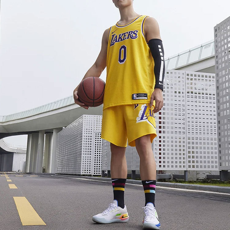 Nike NBA Russell Westbrook Los Angeles Lakers 2023/24 Icon Edition Jersey #0 CW3669-741