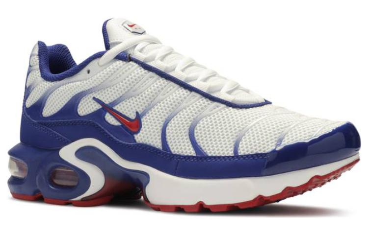 (GS) Nike Air Max Plus 'USA' CK0003-100