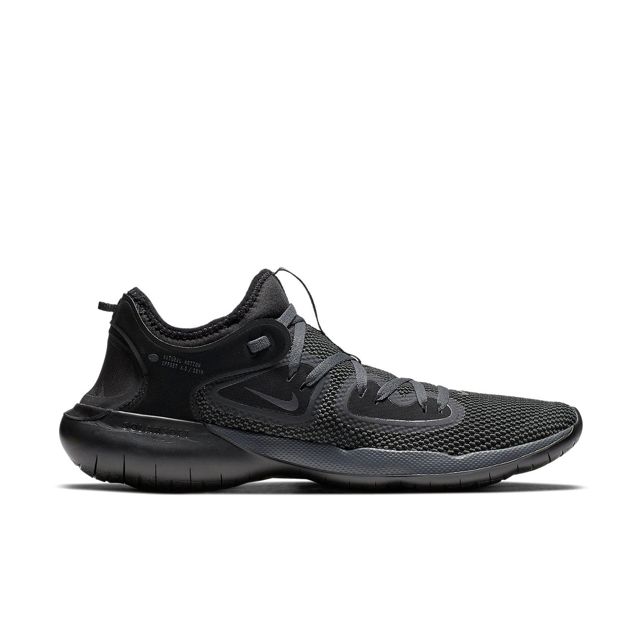 Nike Flex 2019 RN Low Tops Black AQ7483-005