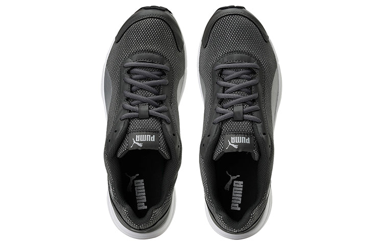 PUMA Explorer Idp Low Grey/White 193197-02
