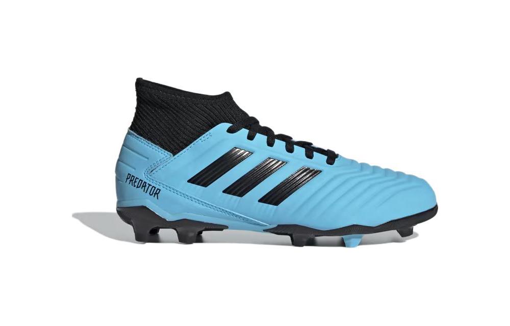 adidas Predator 19.3 FG 'Turquoise' G25796