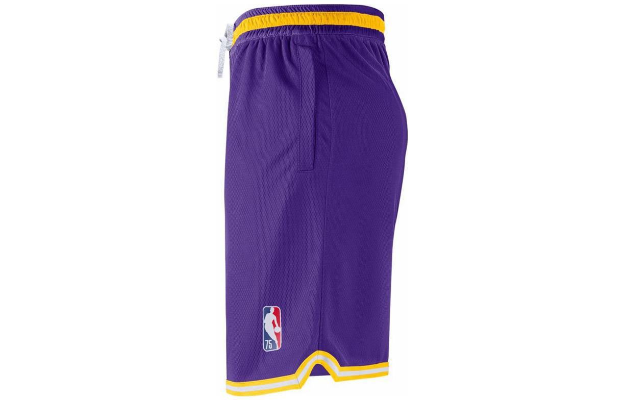 Nike Retro Basketball Shorts Los Angeles Lakers Purple DB1802-504
