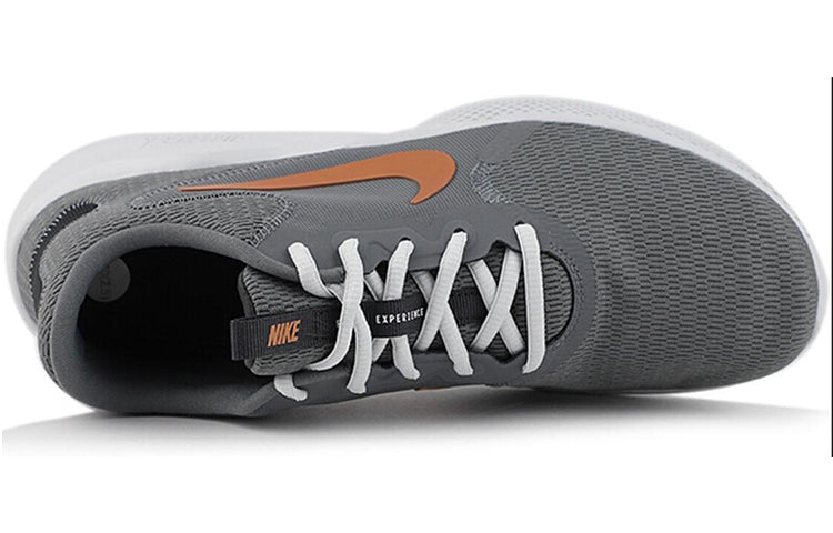 Nike Flex Experience Run 9 'Smoke Grey' CD0225-003